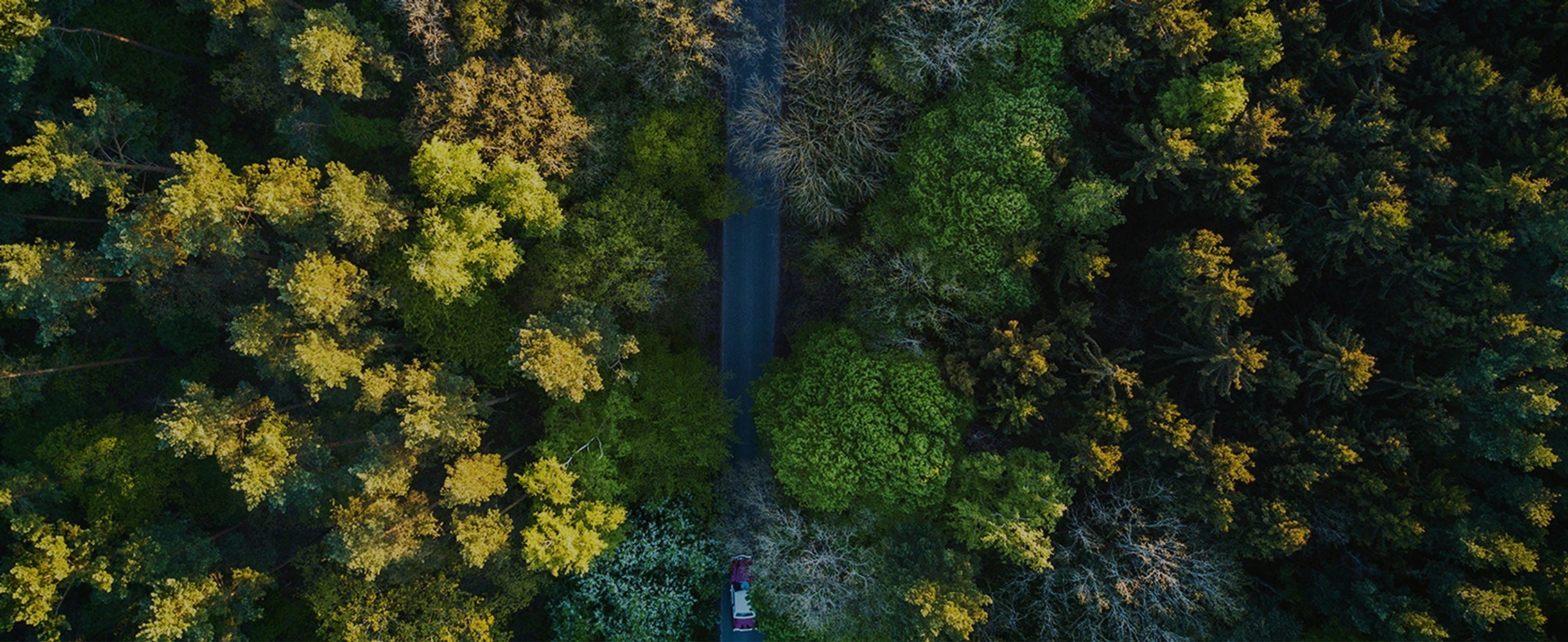 UGREEN Supports a Greener World