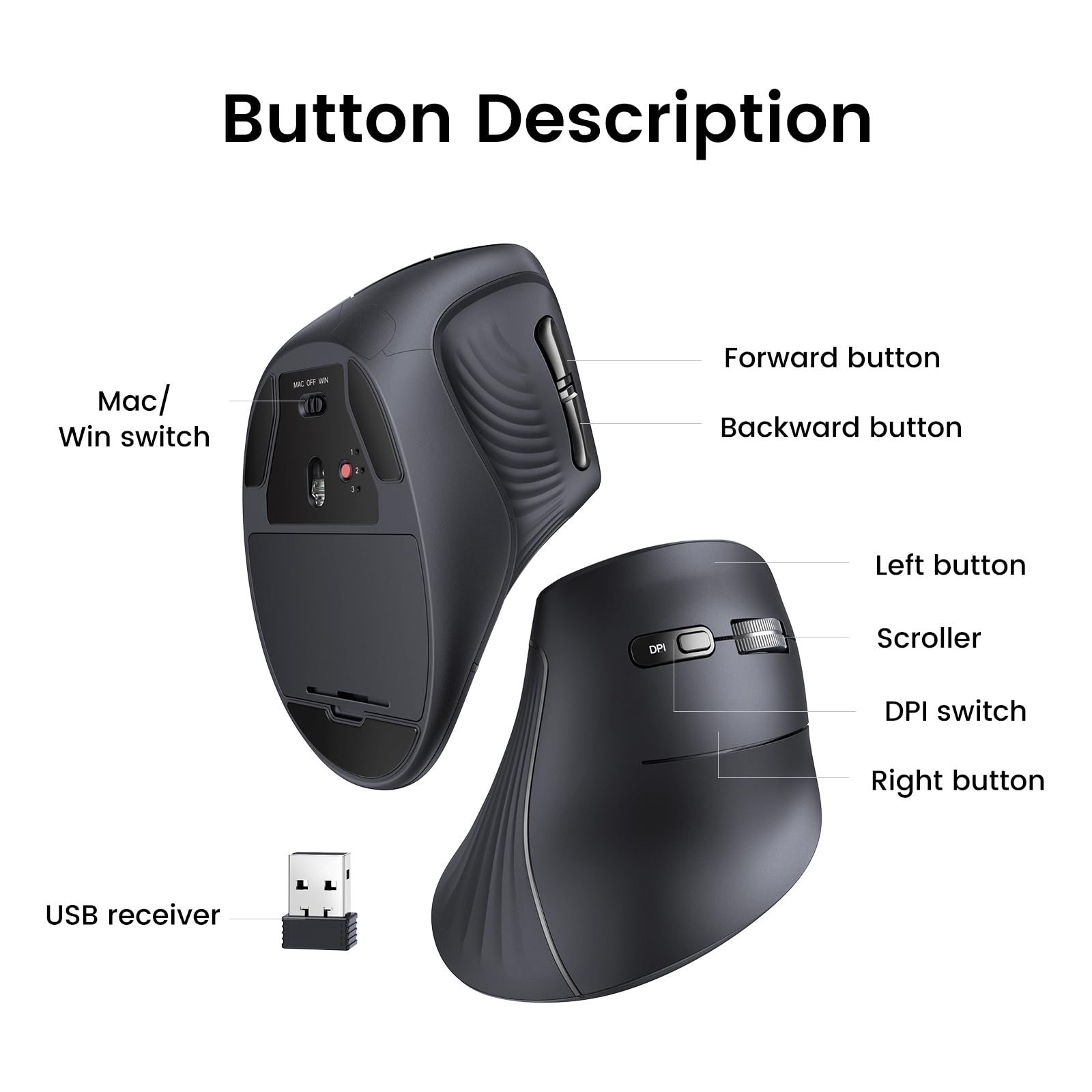 UGREEN Ergonomic Vertical Mouse Bluetooth & 2.4G – UGREEN Official