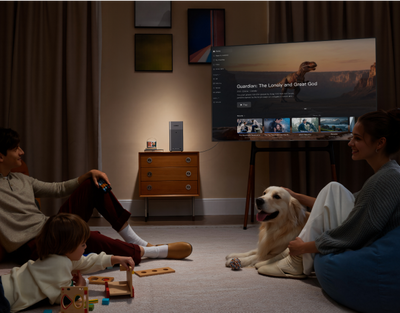 Streaming Media is Laggy